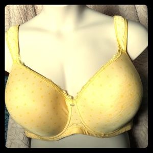 Ashley Stewart Signature Butterfly Bra Size 44DD